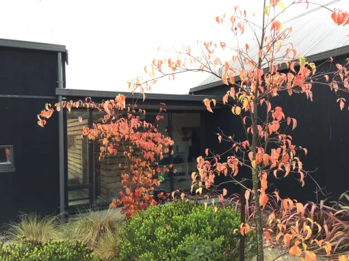 Speargrass Flat Residence — entry framed by autumn foliage