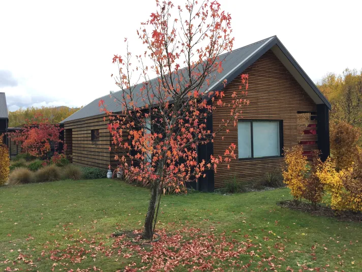 Speargrass Flat Residence — cedar-clad gable with autumn tree